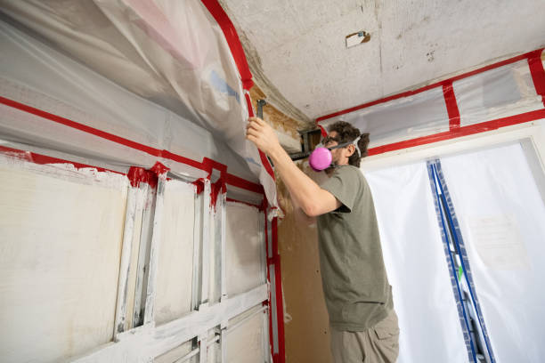 Forensic Mold Investigation in Whitfield, FL