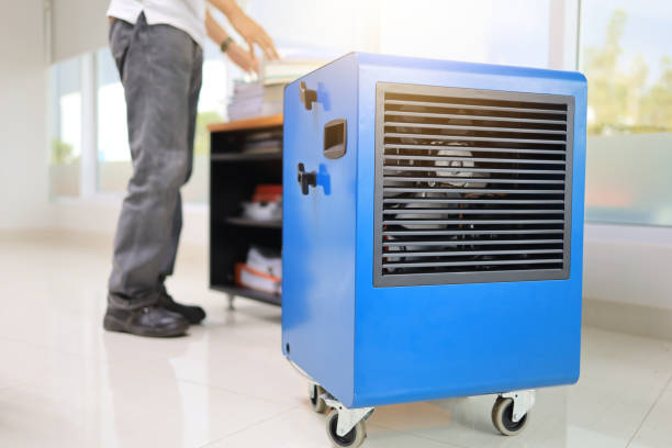 Best Forensic Mold Investigation  in Whitfield, FL