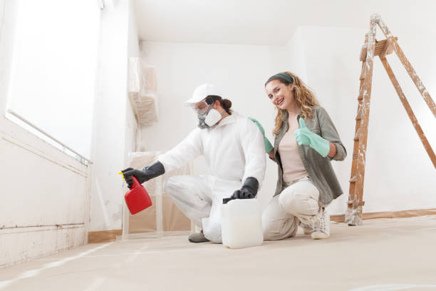 Best Asbestos and Lead Testing During Mold Inspection  in Whitfield, FL