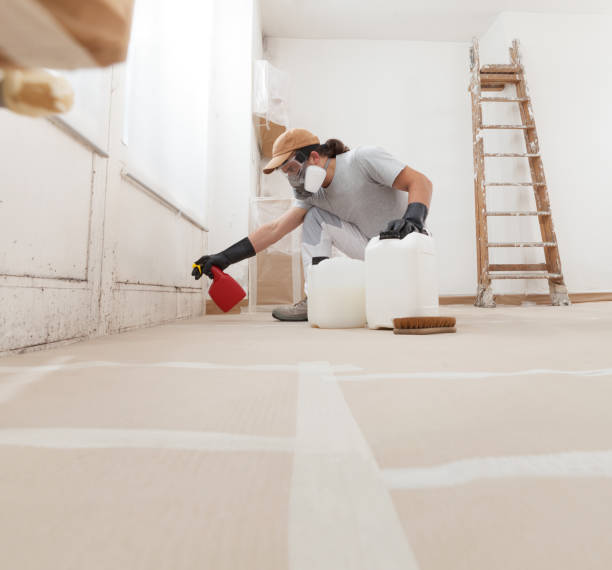 Best Industrial Mold Remediation  in Whitfield, FL